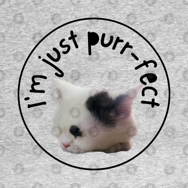 I'M JUST PURRFECT by always.lazy